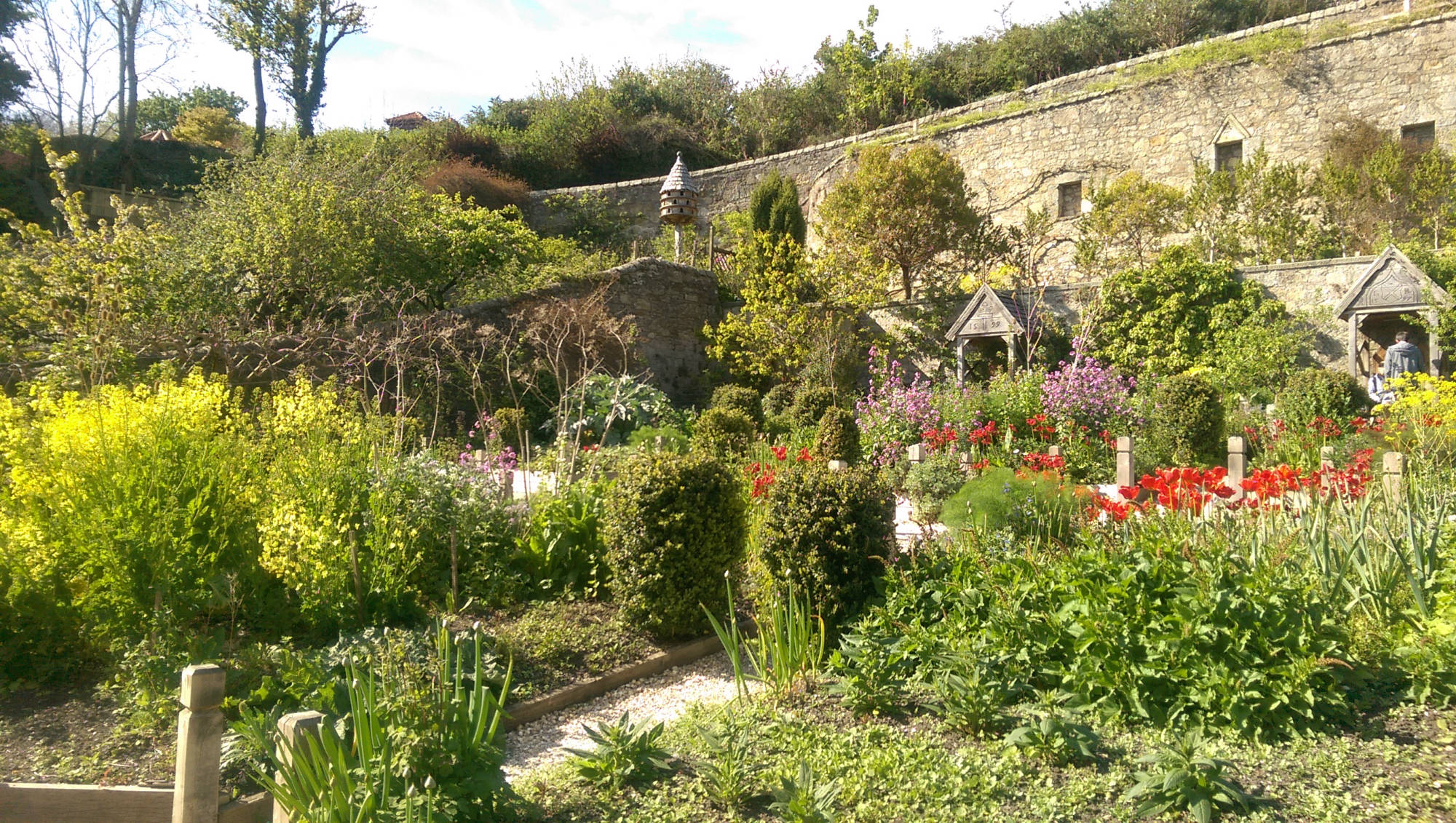 Castle Leoch's Herb Garden