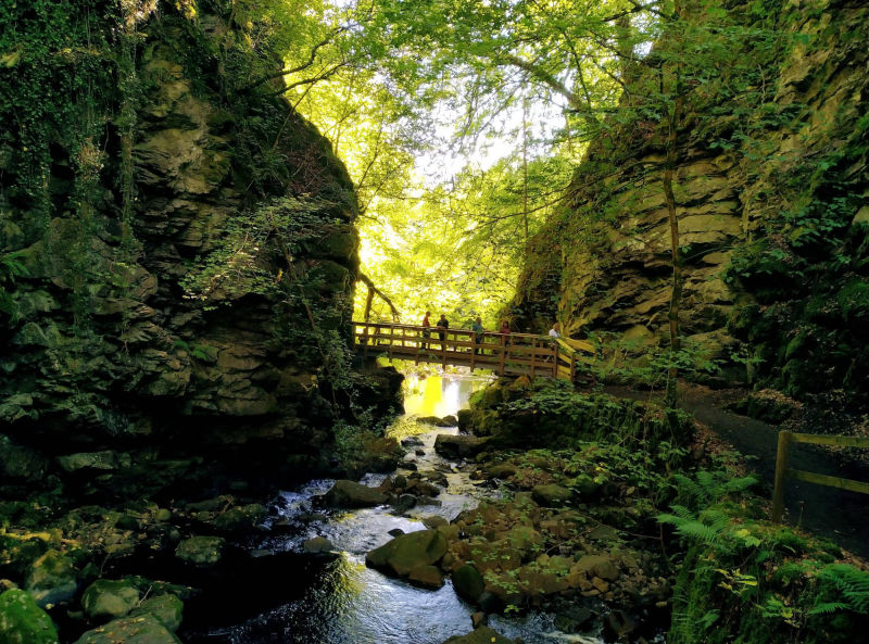 Walk through a Gorge