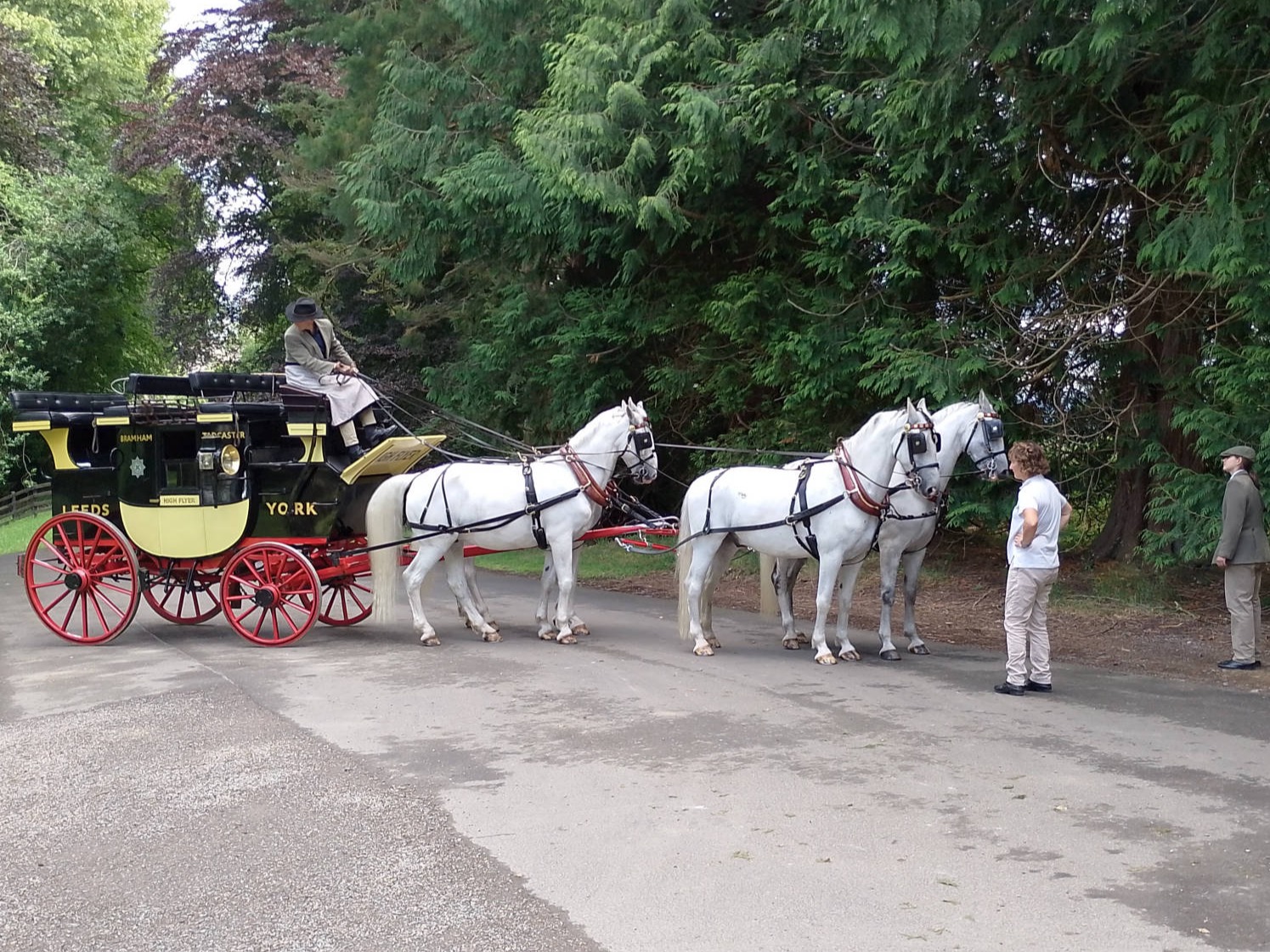 Horses and Carriage