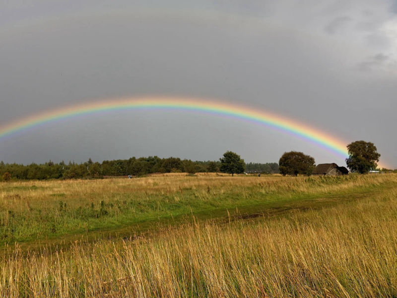 Rainbow