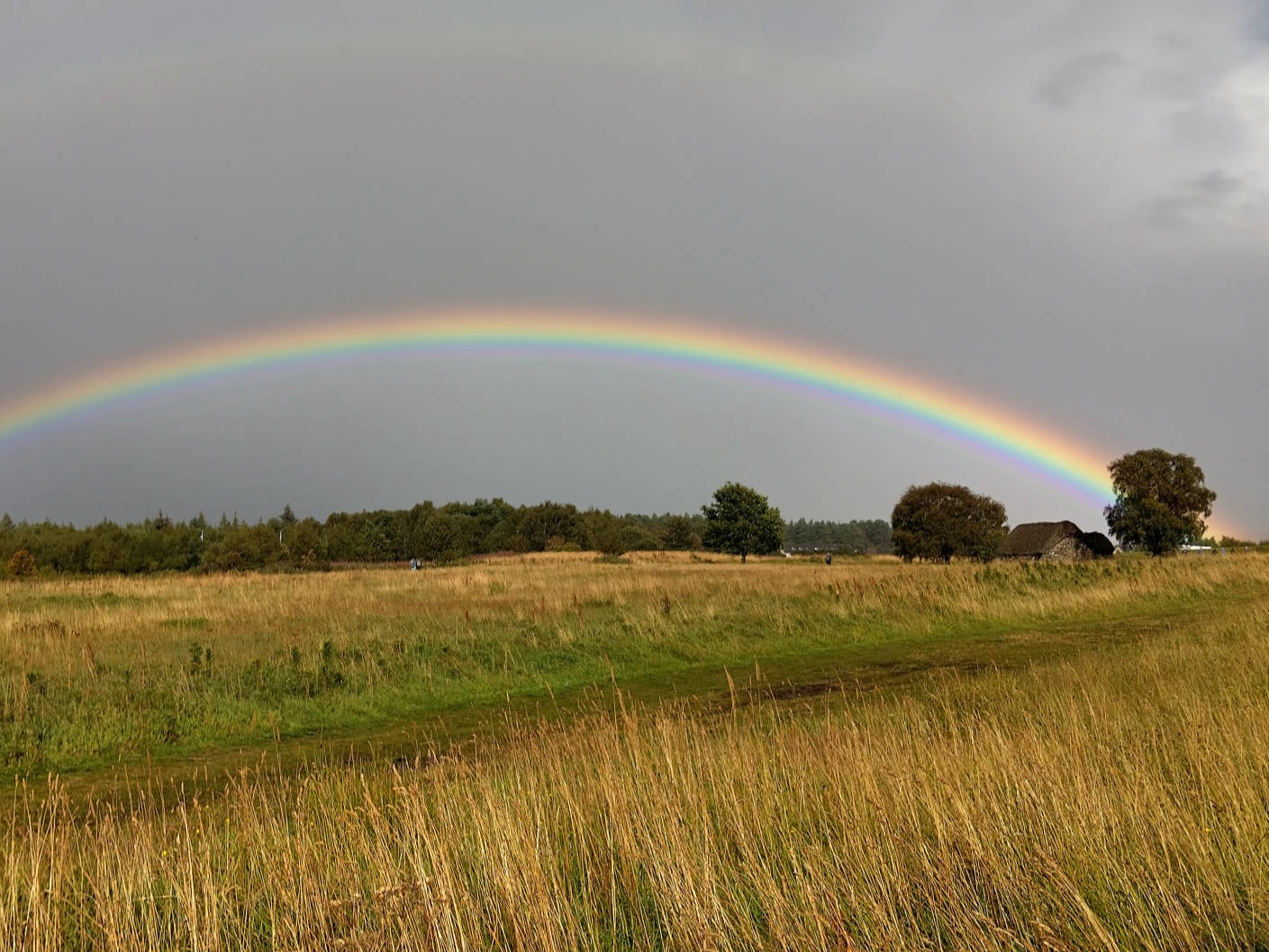 Rainbow