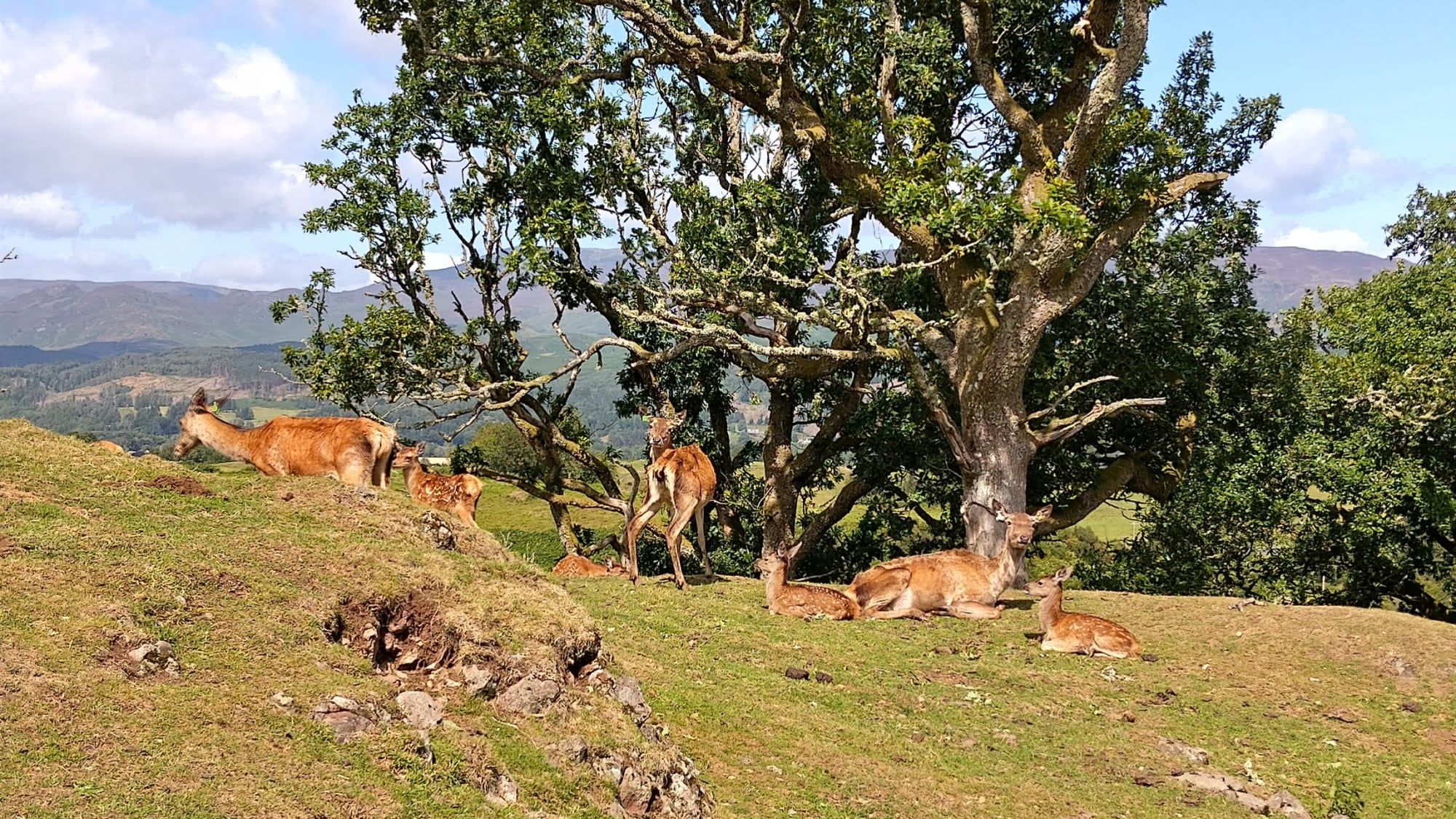 Highland Tour - Aug 2025